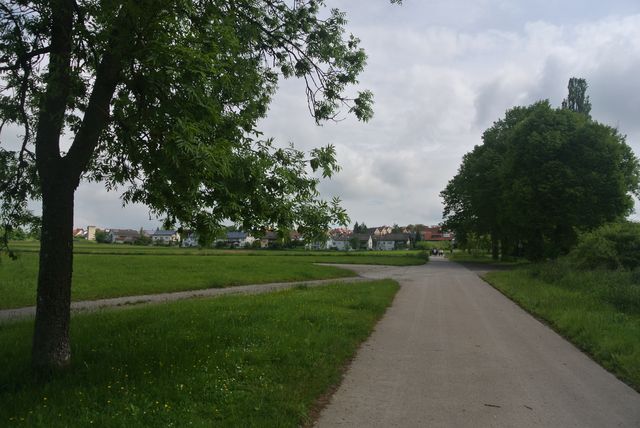 DSC_6399.JPG