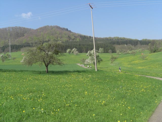 CIMG0810.JPG