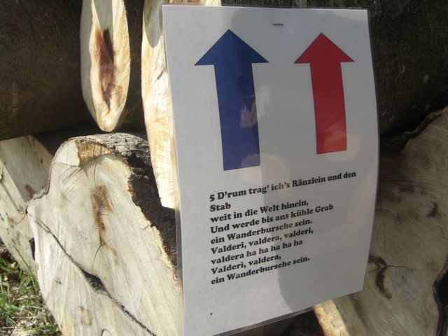 CIMG0825.JPG