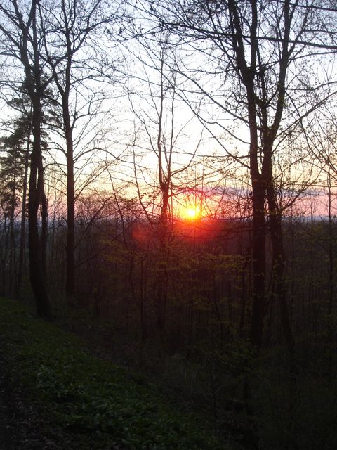 DSC00582.JPG