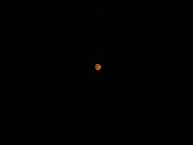 DSC00593.JPG