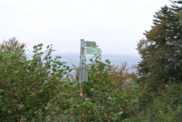 DSC_0327.JPG