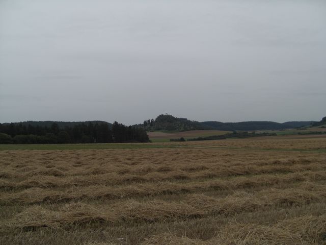 CIMG1383.JPG