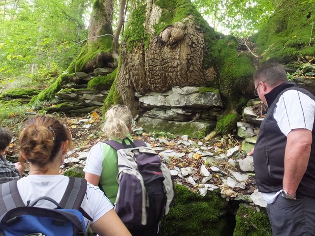 DSCF7559.JPG
