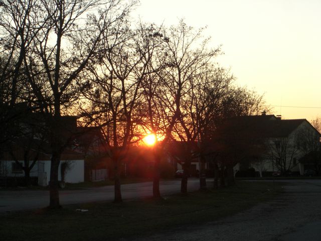 CIMG0259.JPG
