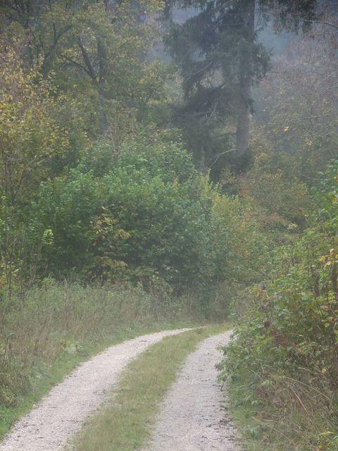 DSCF8019.JPG