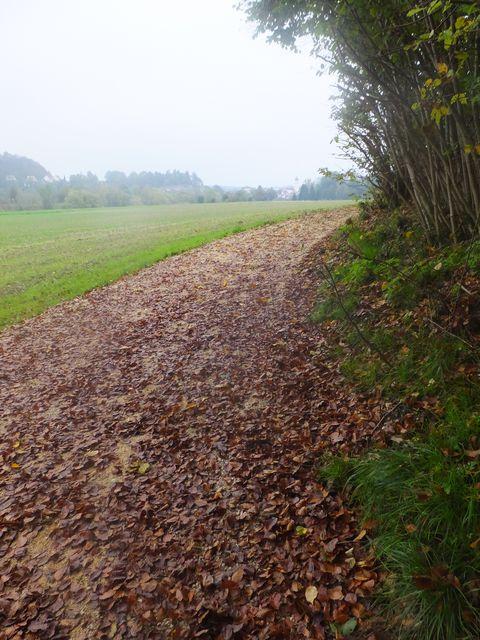 DSCF8297.JPG