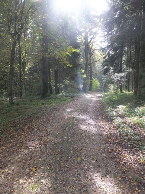 DSCF8364.JPG