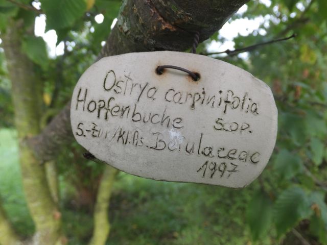DSCF7446.JPG