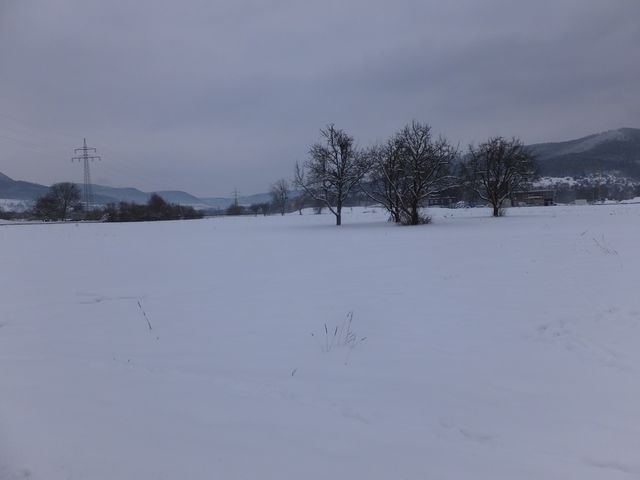 DSCF9130.JPG