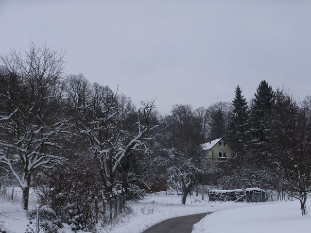 DSCF9141.JPG