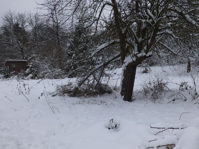 DSCF9146.JPG