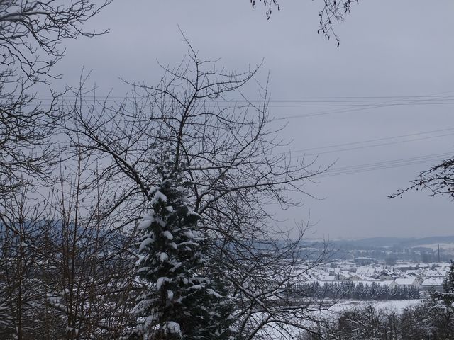 DSCF9155.JPG