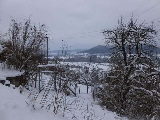 DSCF9195.JPG