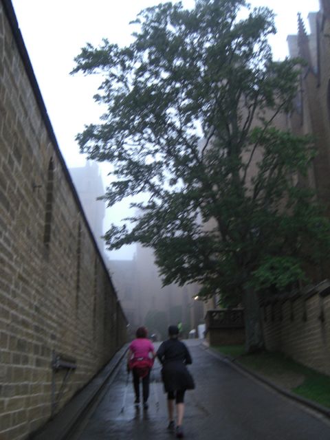 CIMG1217.JPG
