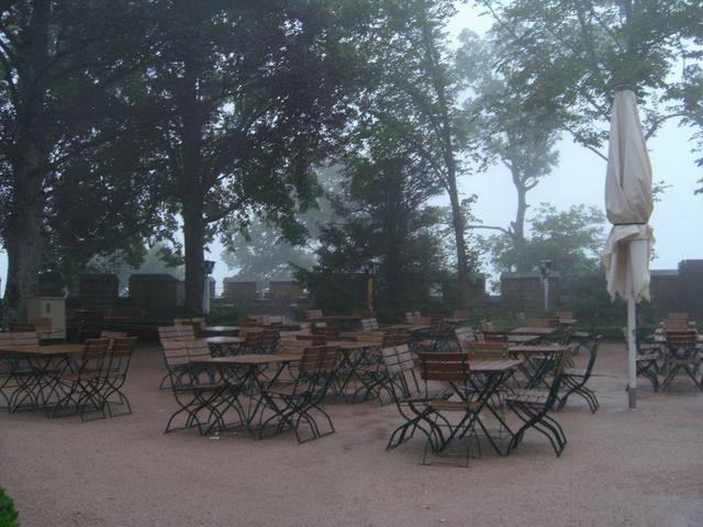 CIMG1237.JPG