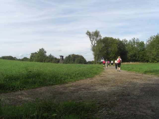 CIMG1438