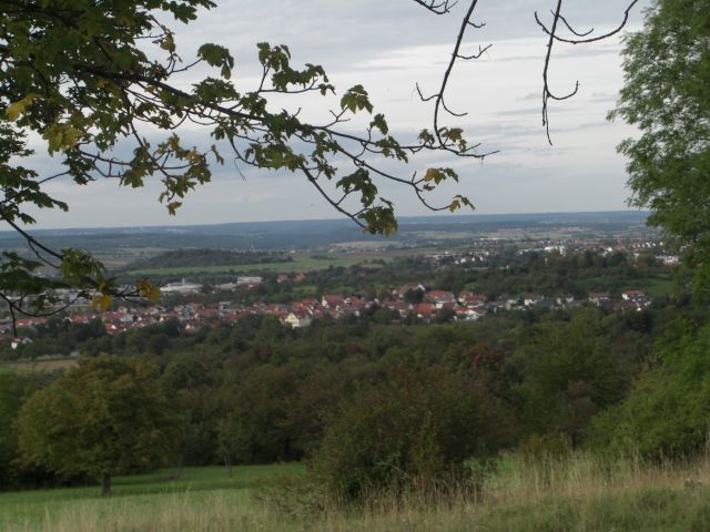 CIMG1462