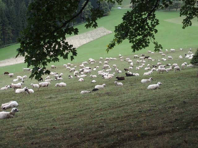 P9200001.JPG