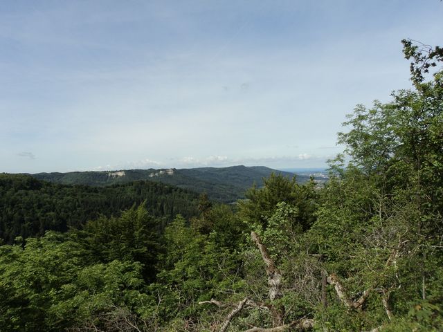 DSC01205.JPG