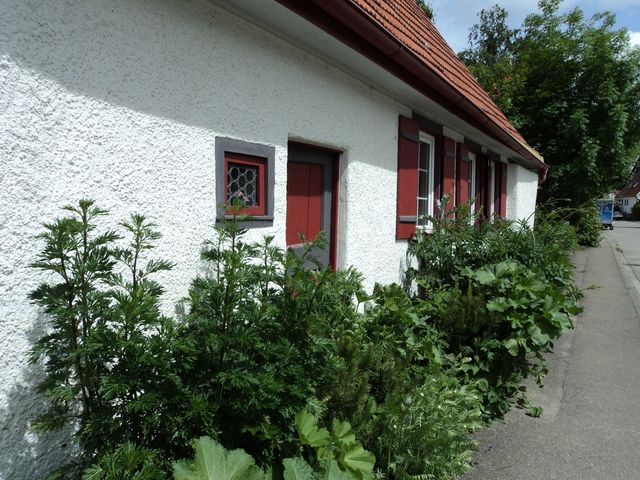 DSC01253.JPG