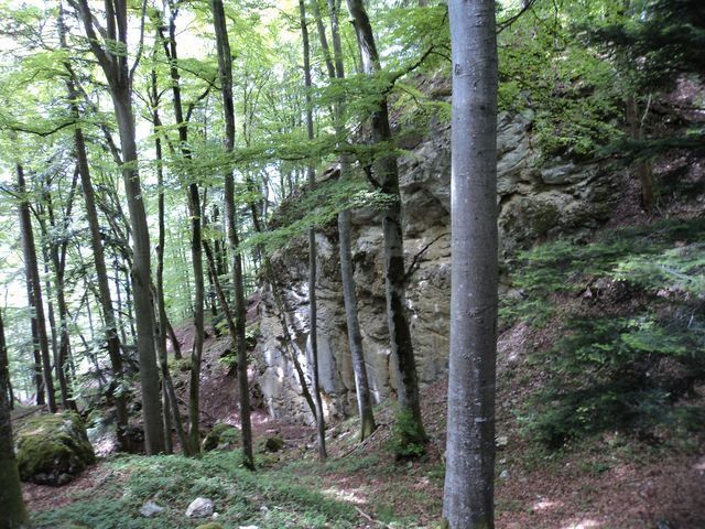 DSC01275.JPG