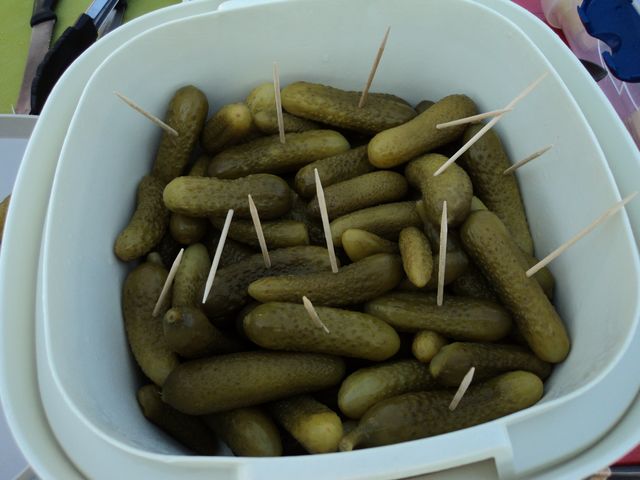 DSC01546.JPG