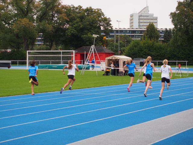 P9130049.JPG