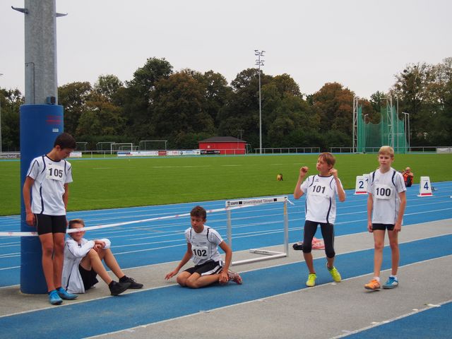 P9130055.JPG