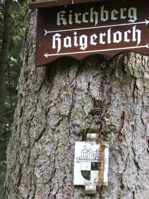 DSCF1901.JPG