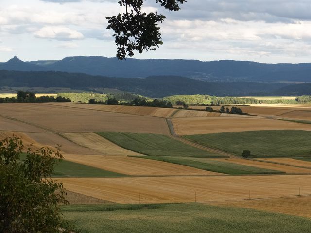 DSCF1956.JPG