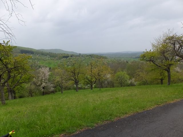 DSCF1262.JPG