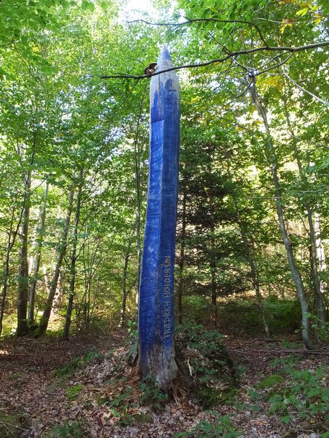 DSCF2438.JPG