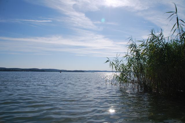 DSC_0003.JPG