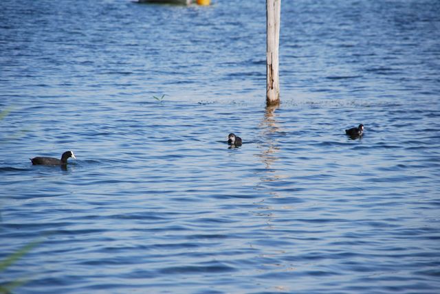 DSC_0023.JPG