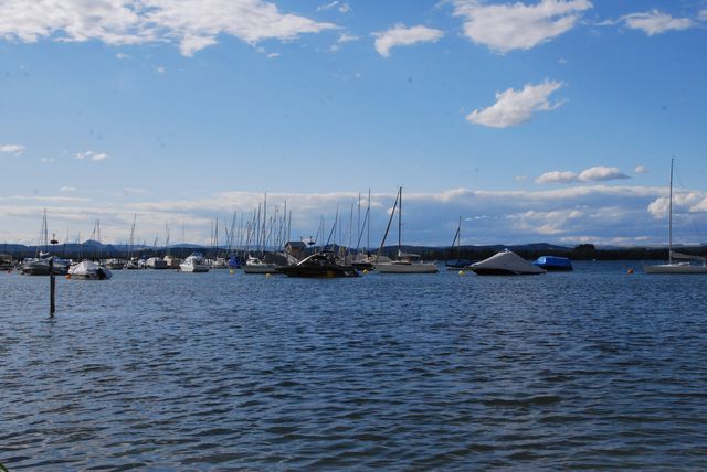 DSC_9934.JPG