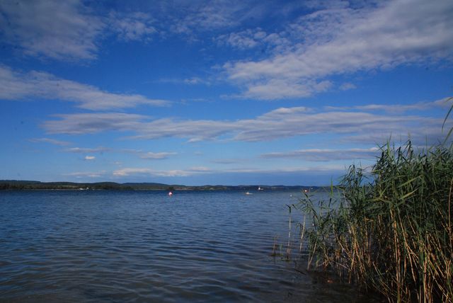 DSC_9941.JPG