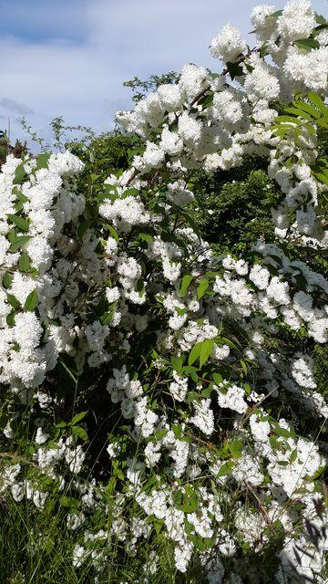 20150602_093840.jpg