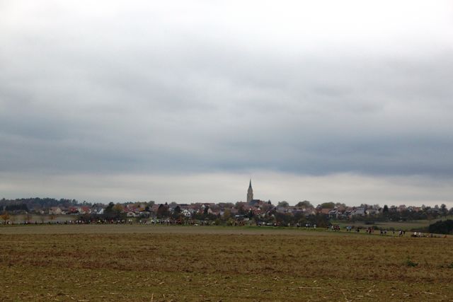 IMG_8937.JPG
