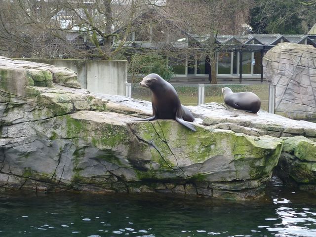 P1030010.JPG