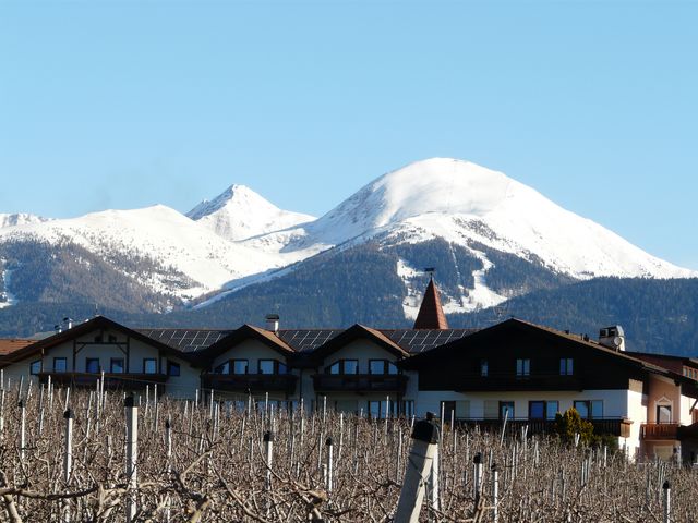 P1150924.JPG