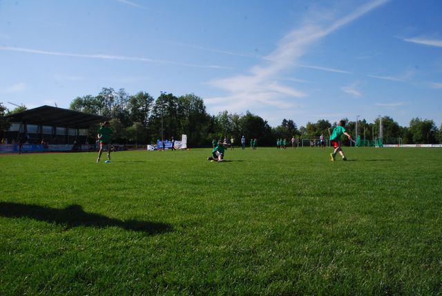 DSC_8763.JPG