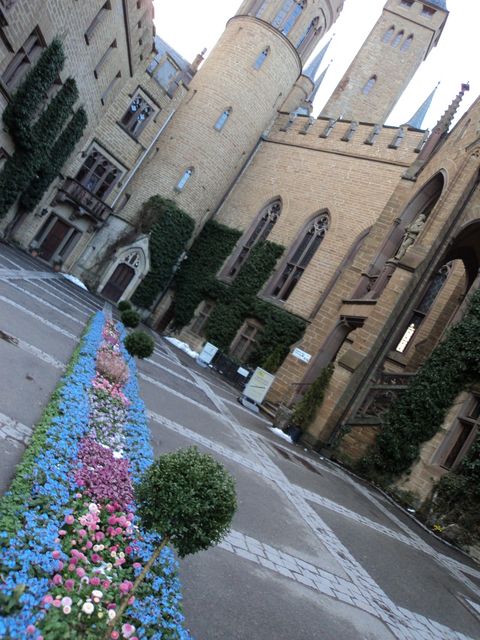 DSC00908.JPG