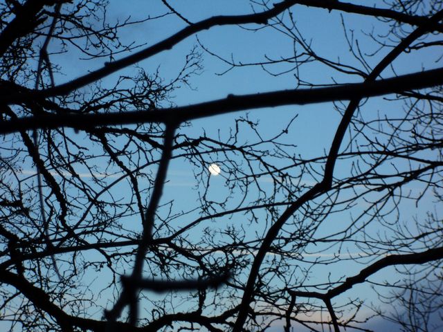 DSC00933.JPG