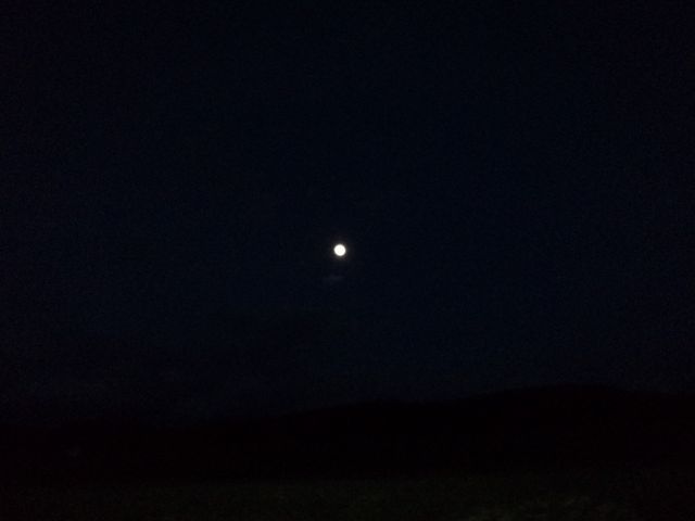 DSC00996.JPG