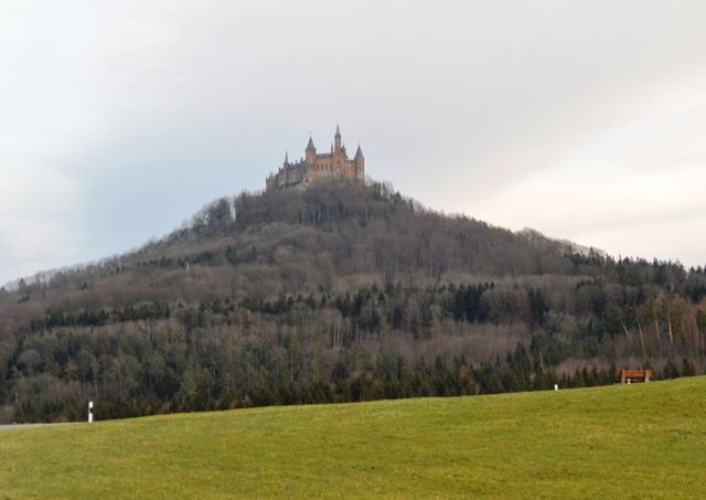 DSC_2427.JPG