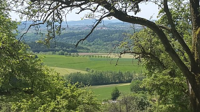 20160522_121936