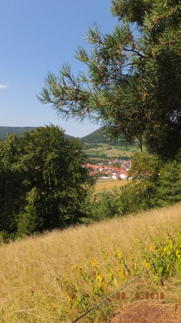DSCF0104