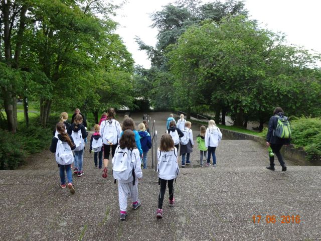 Photo 17-06-16 17 11 55