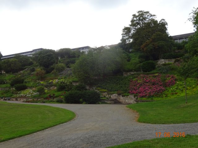 Photo 17-06-16 17 13 30